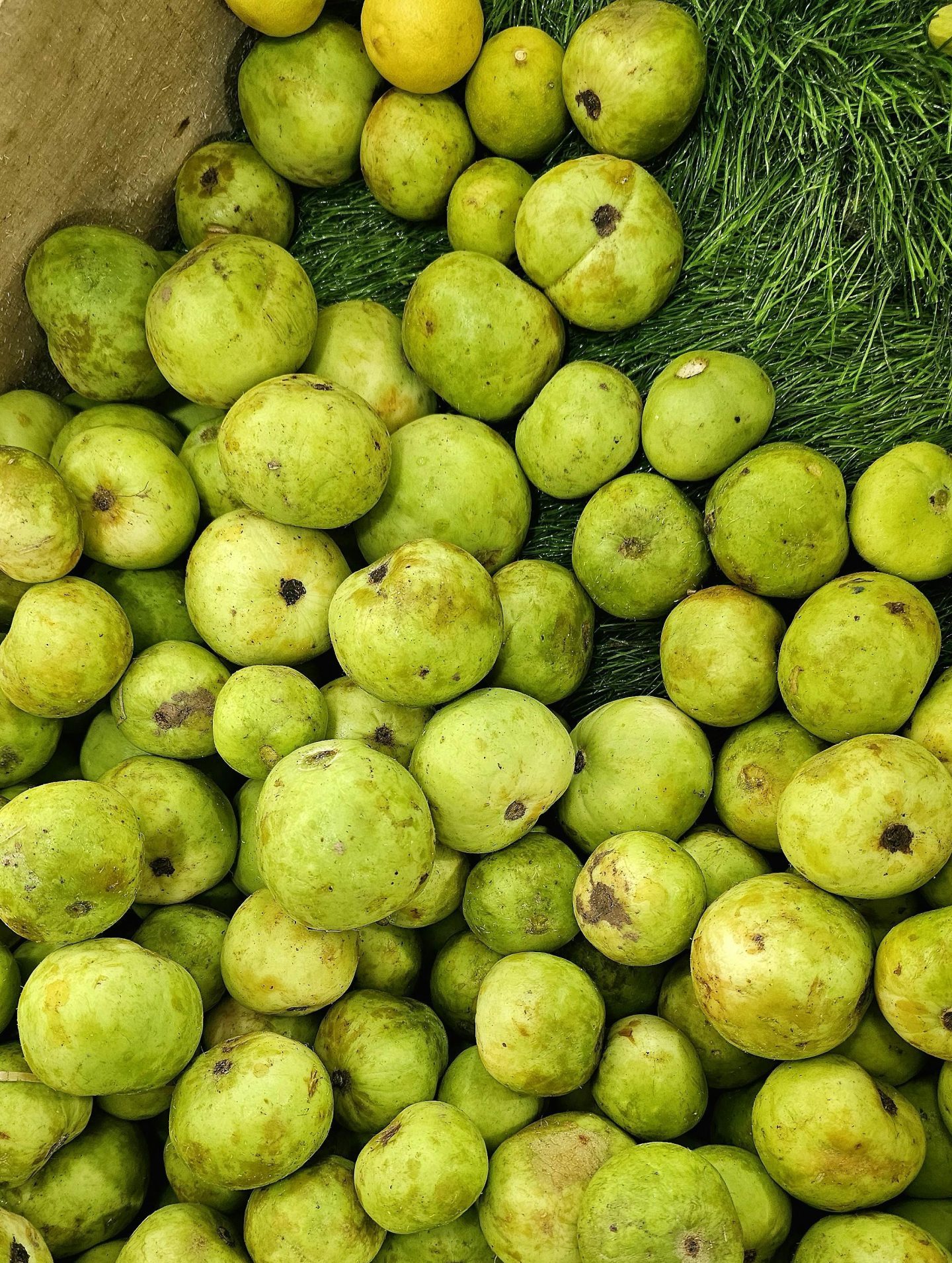 Mulgoba (Malgova) - 5kg