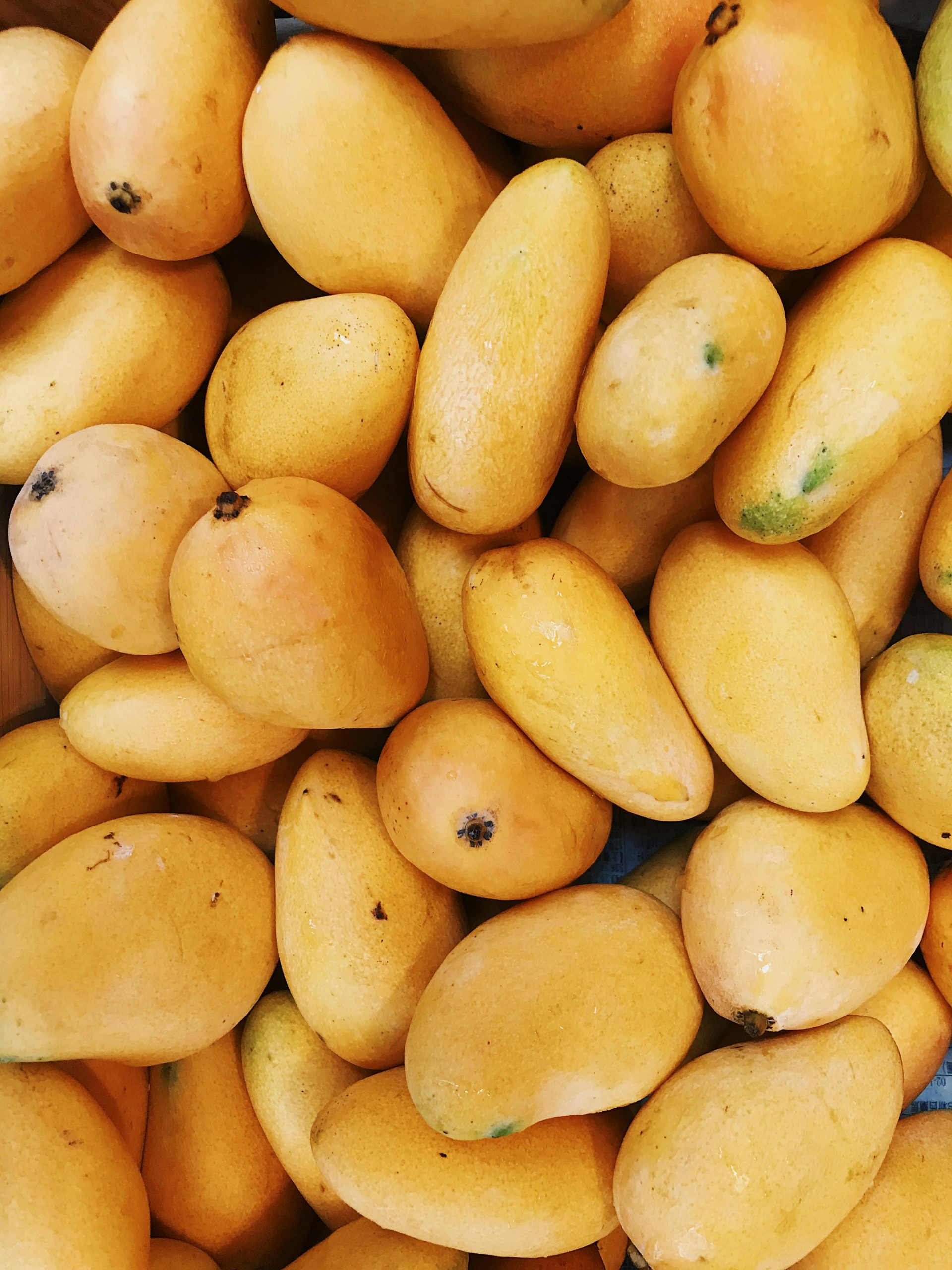 Banganapalle (Safeda) - 5kg